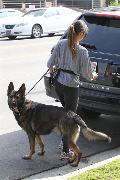 Nikki Reed jogging with her dog Enzo in Los Angeles on February 6, 2013