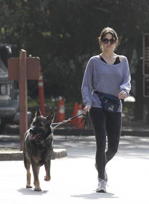 Nikki Reed jogging with her dog Enzo in Los Angeles on February 6, 2013