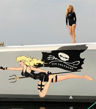 Pamela Anderson Launches Sea Shepherds Operation Zero Tolerance Whale Defense Campaign on November 2, 2012 