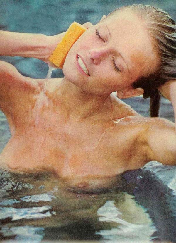 Cheryl Tiegs - breasts