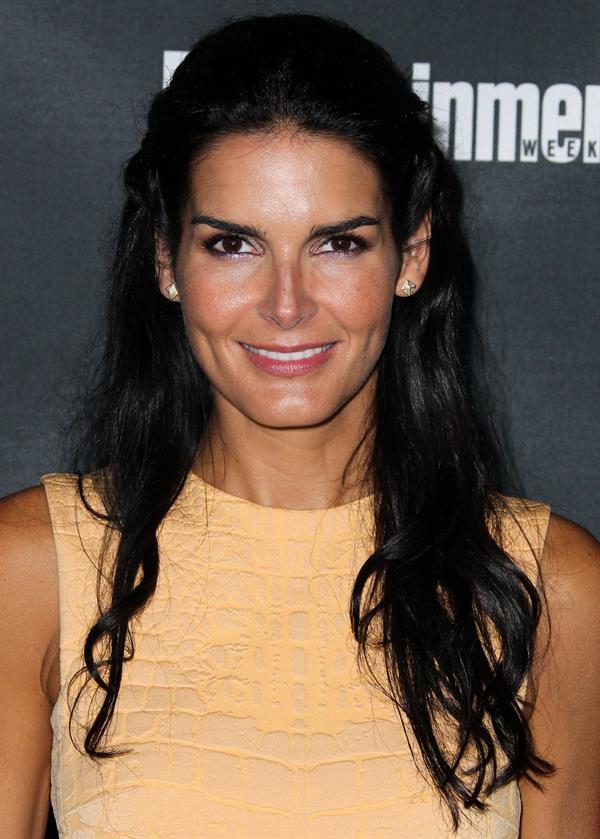Angie Harmon at the 2014 Entertainment Weekly Pre-Emmy Party  August 23, 2014