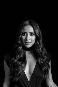 Shay Mitchell