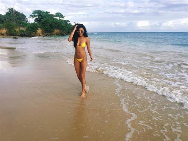 Shay Mitchell in a bikini