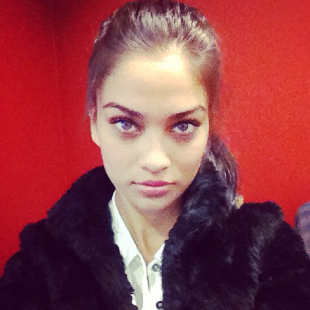 Shanina Shaik
