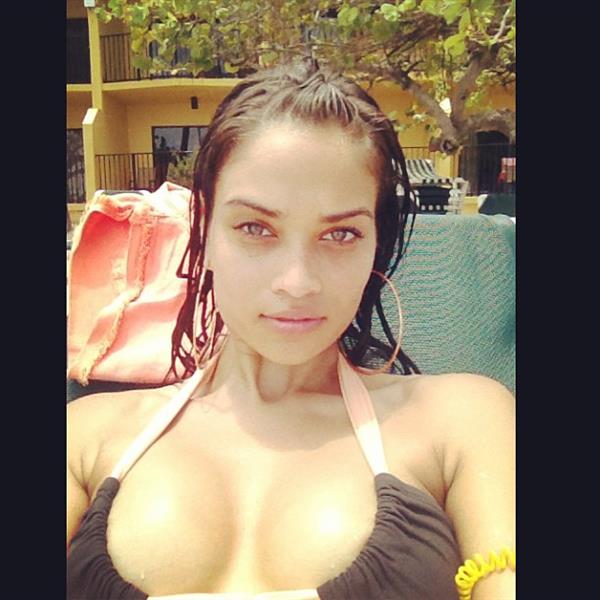 Shanina Shaik in a bikini