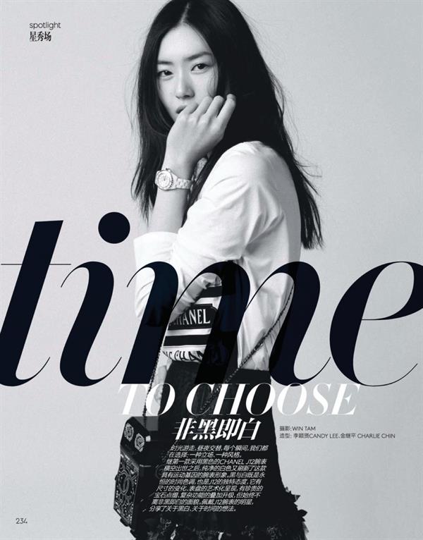 Liu Wen
