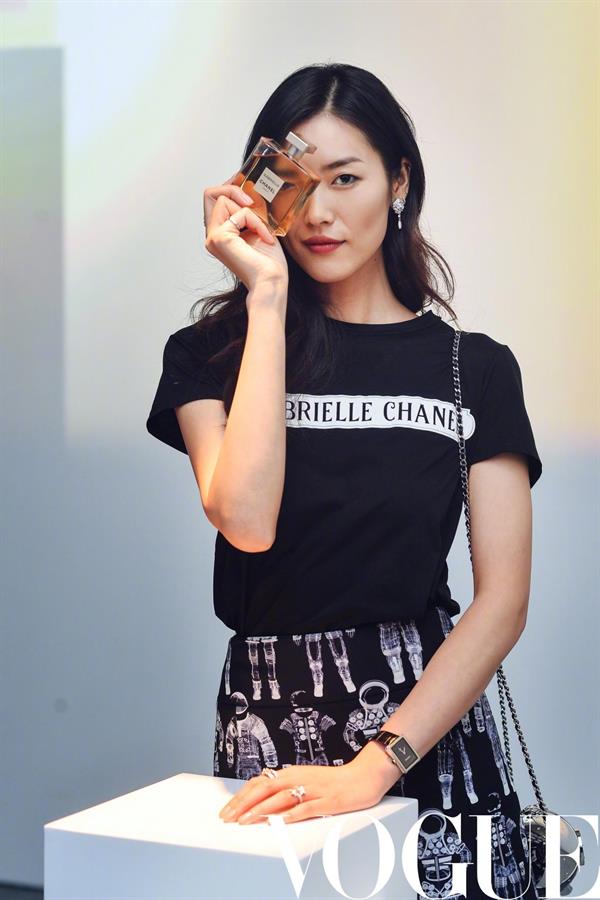 Liu Wen