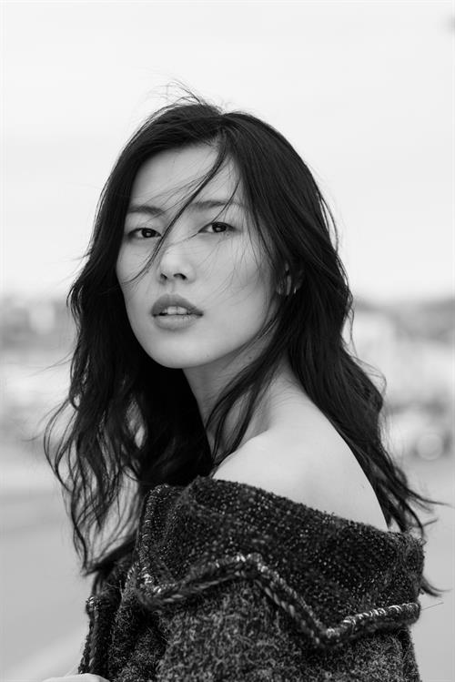 Liu Wen