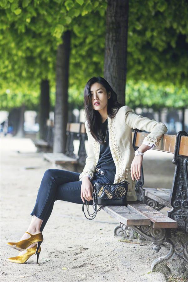 Liu Wen