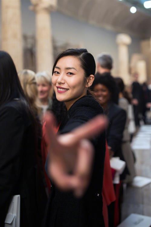 Liu Wen