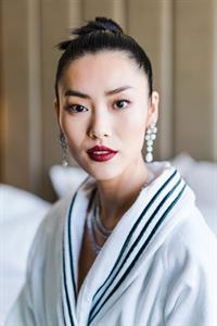 Liu Wen