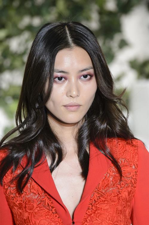 Liu Wen