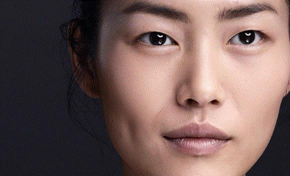 Liu Wen