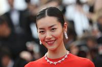 Liu Wen