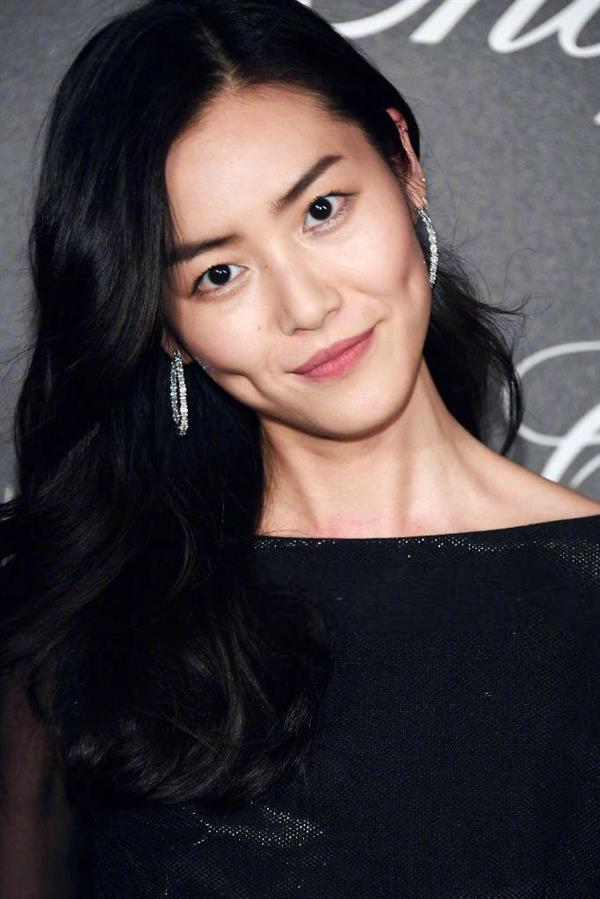 Liu Wen