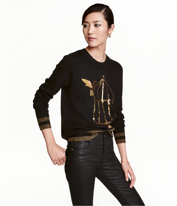 Liu Wen