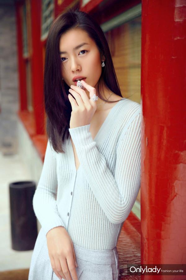 Liu Wen