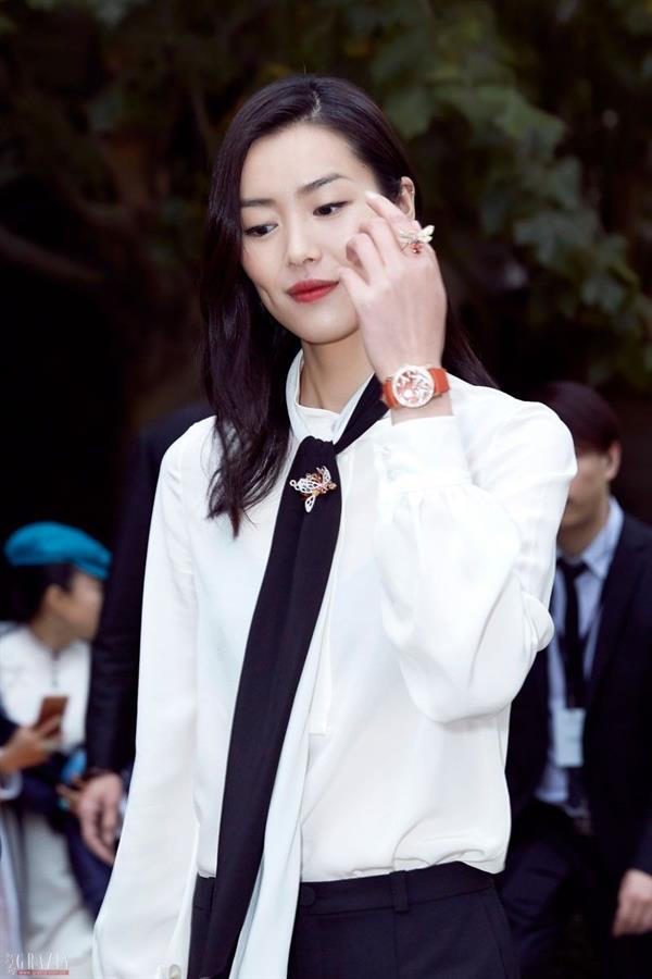 Liu Wen