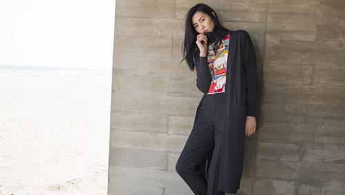 Liu Wen