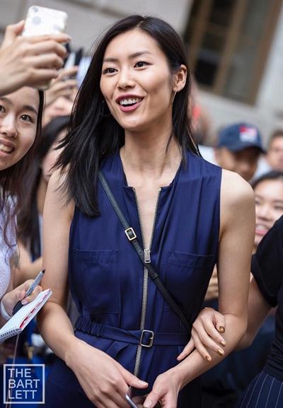 Liu Wen