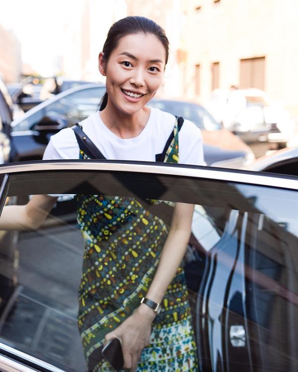 Liu Wen