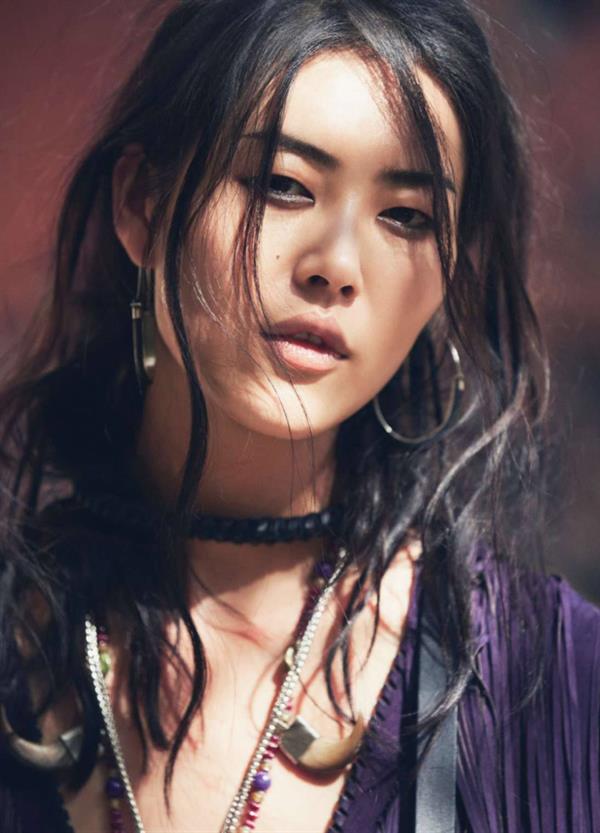 Liu Wen