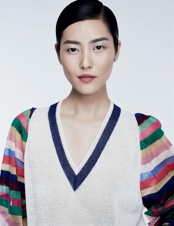 Liu Wen