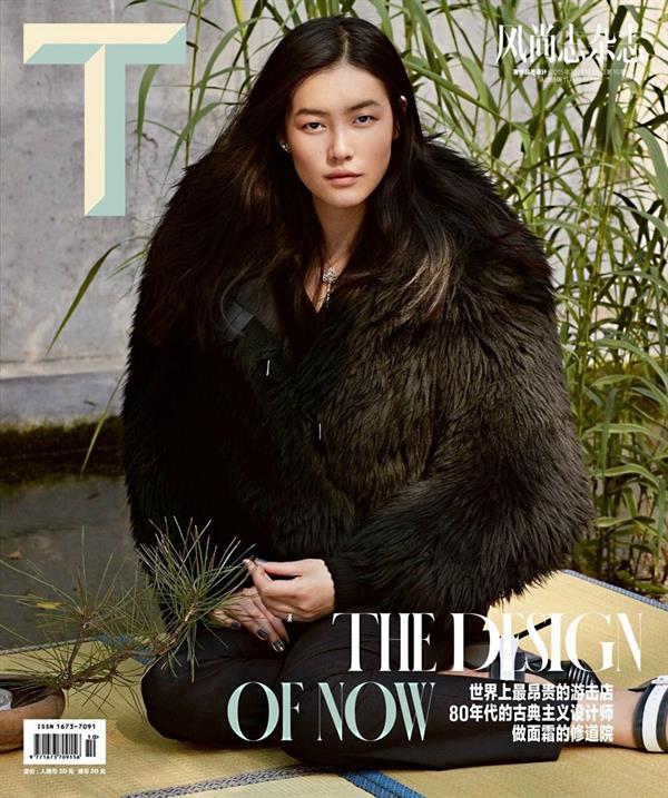 Liu Wen