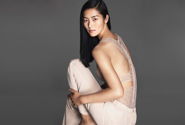 Liu Wen