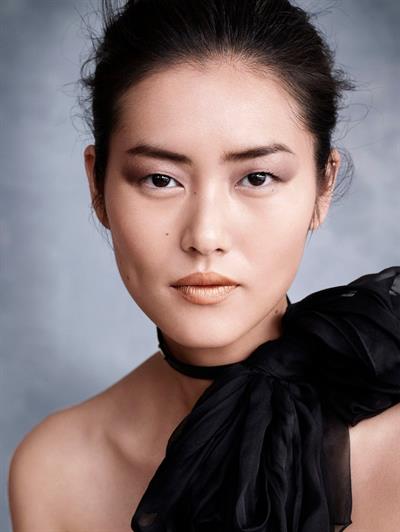 Liu Wen