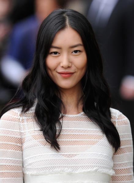 Liu Wen