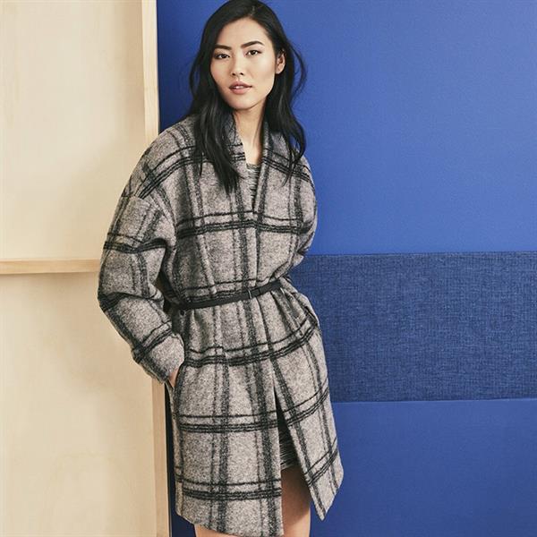 Liu Wen