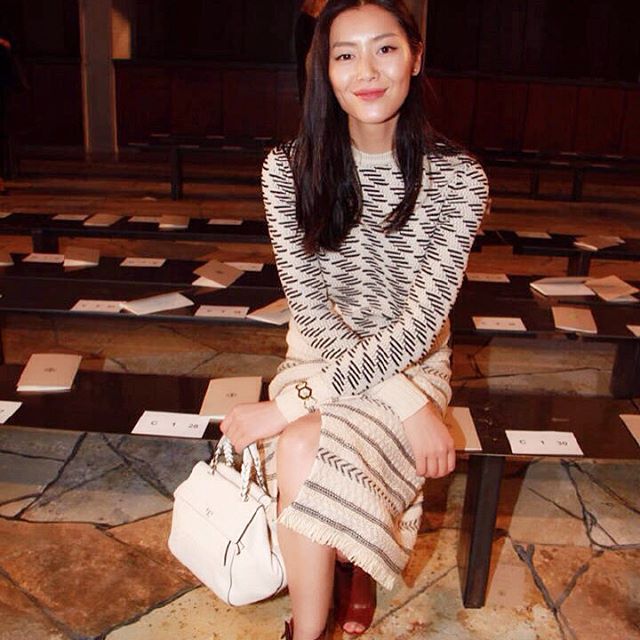 Liu Wen