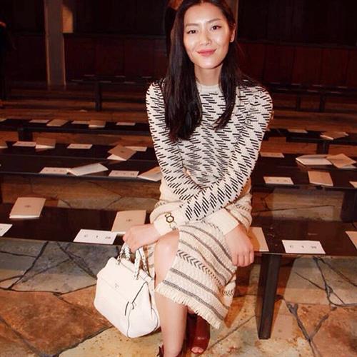 Liu Wen
