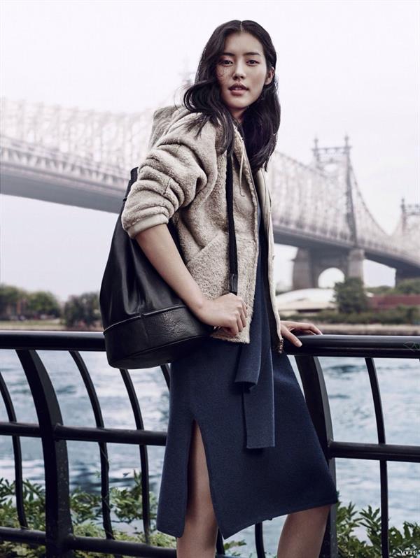 Liu Wen