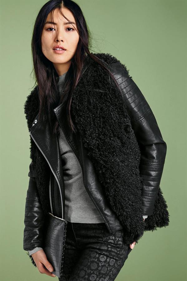 Liu Wen