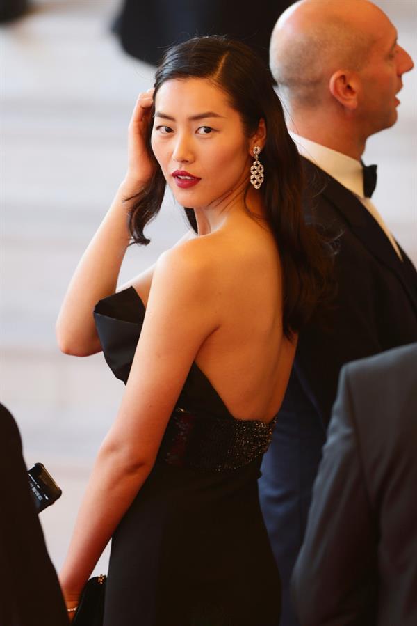 Liu Wen