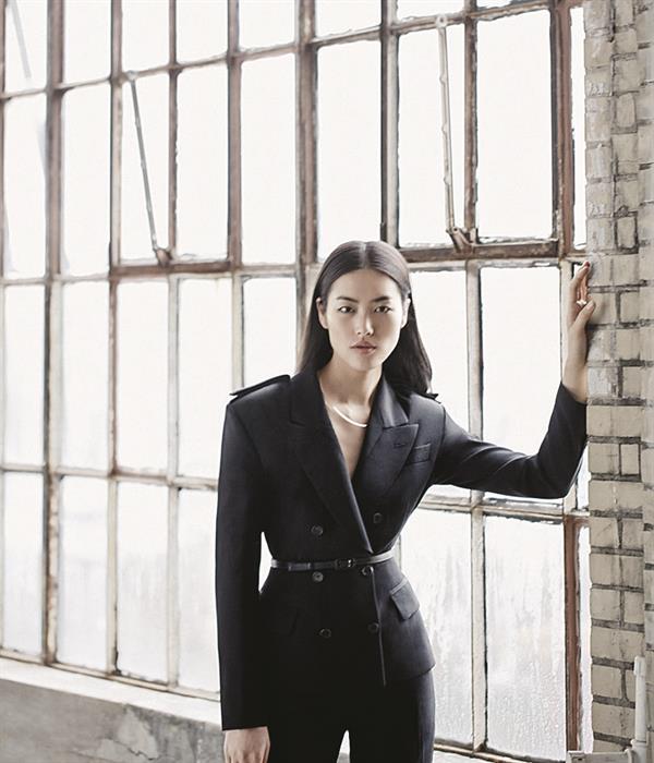 Liu Wen