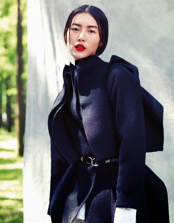 Liu Wen