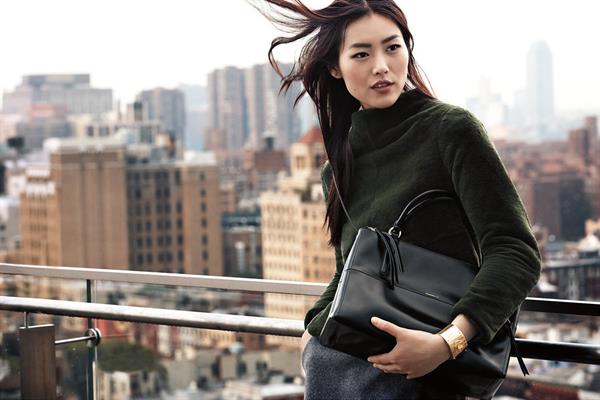 Liu Wen