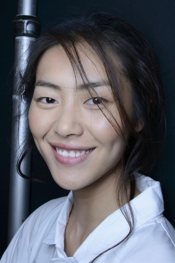 Liu Wen