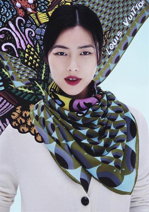 Liu Wen