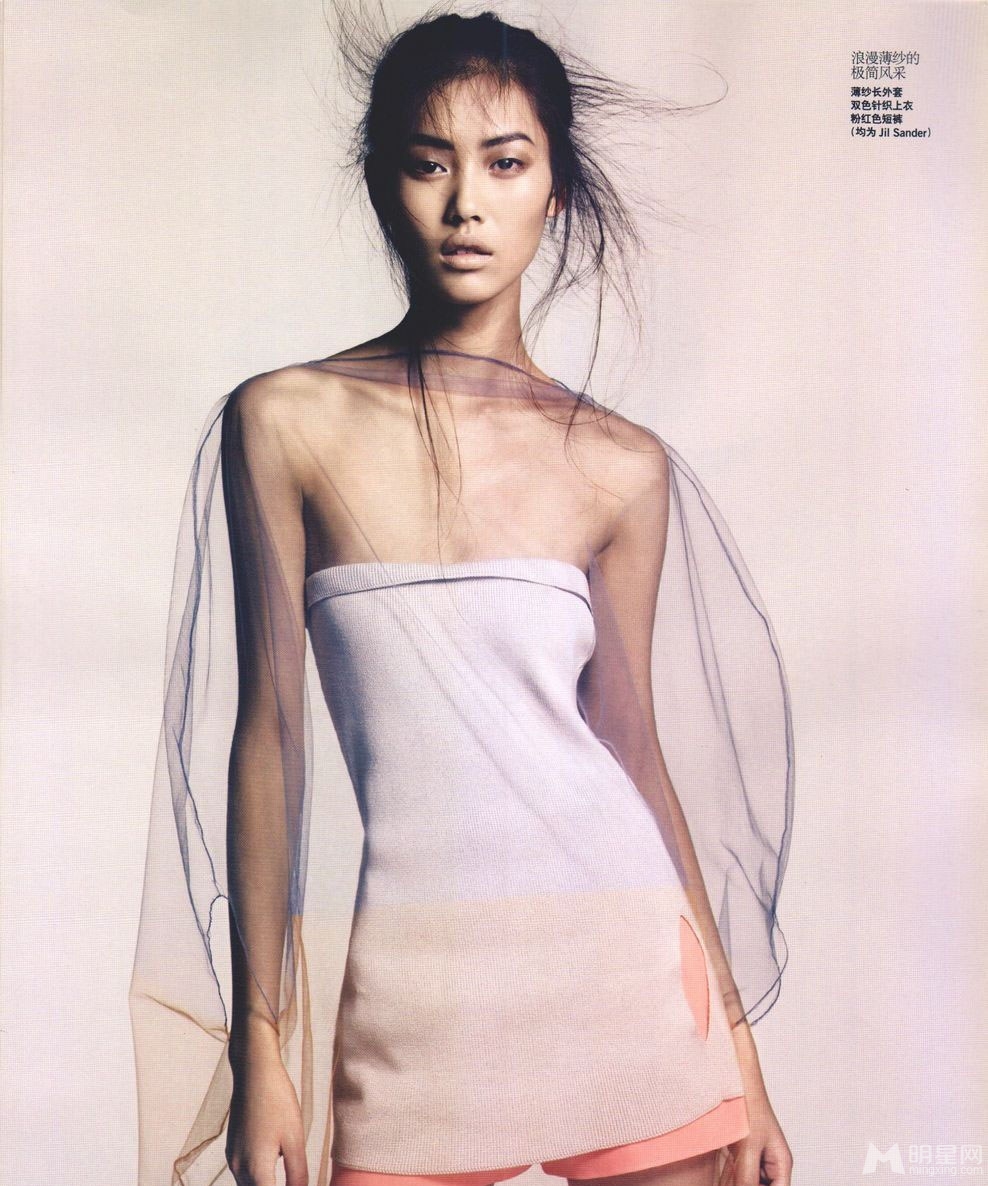 Liu Wen
