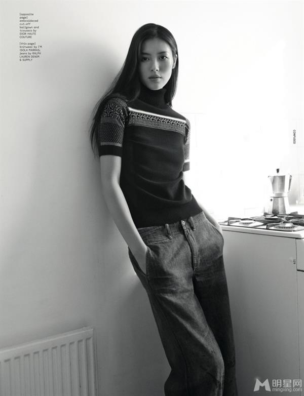 Liu Wen