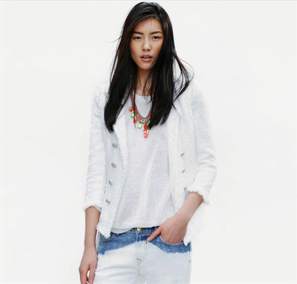 Liu Wen