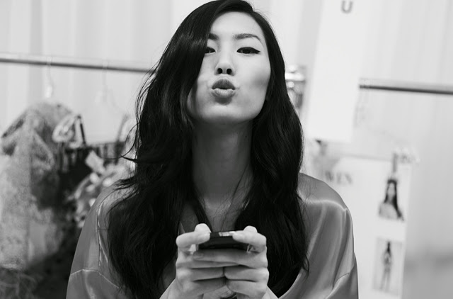 Liu Wen