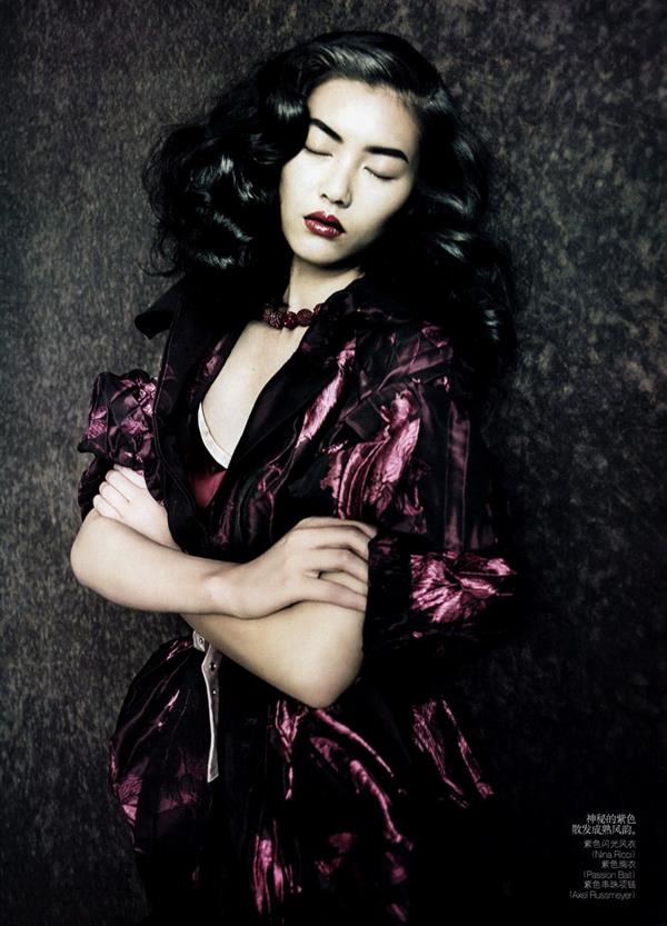 Liu Wen