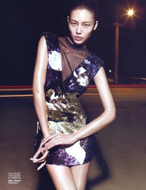 Liu Wen