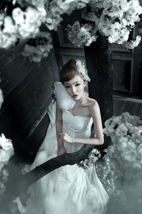 Song Xiao Jia