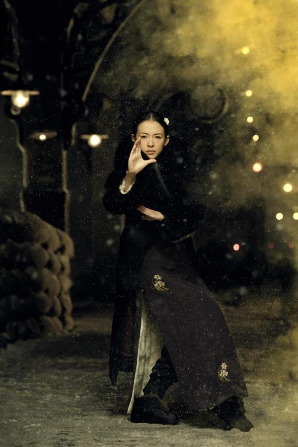 Zhang Ziyi